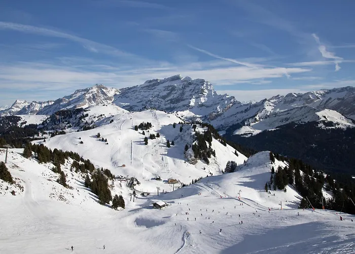 Apartament Le Bouquetin 1 By Interhome *