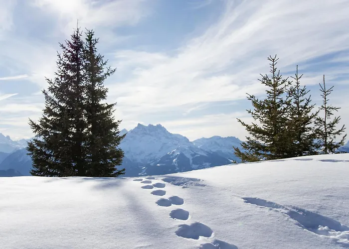 Le Bouquetin 1 By Interhome Appartement Villars-sur-Ollon