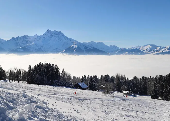 Le Bouquetin 1 By Interhome